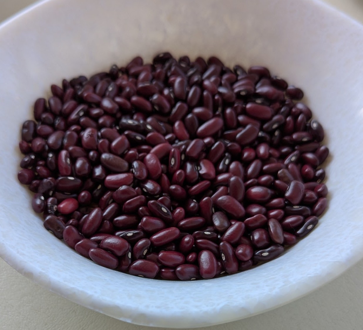 Red Kidney Bean Shashemene (SER 119)